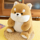 Shiba Inu / 25cm