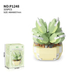 P1248 succulent-Mubi Spring Breeze