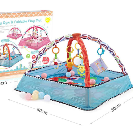 Baby Play Gym with Ocean Balls and Activity Fence