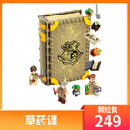 Herbal Lesson Folding Magic Book