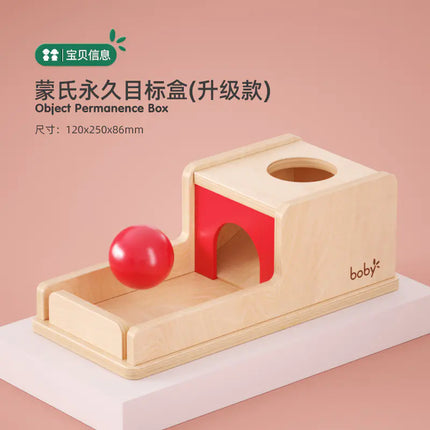 Montessori Shape Matching Puzzle Toy for Toddlers