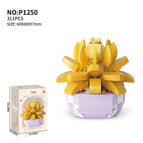 P1250 succulent-Xinghe Haoyue