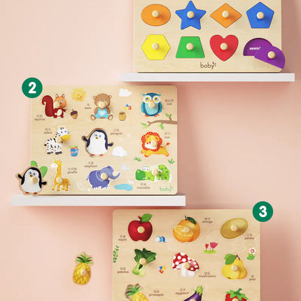 Montessori Shape Matching Puzzle Toy for Toddlers